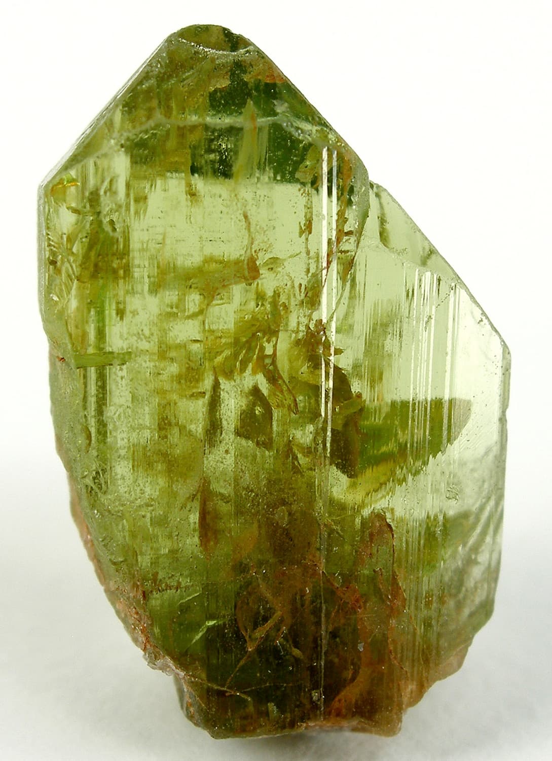 A translucent olive-green forsterite crystal on a light background.