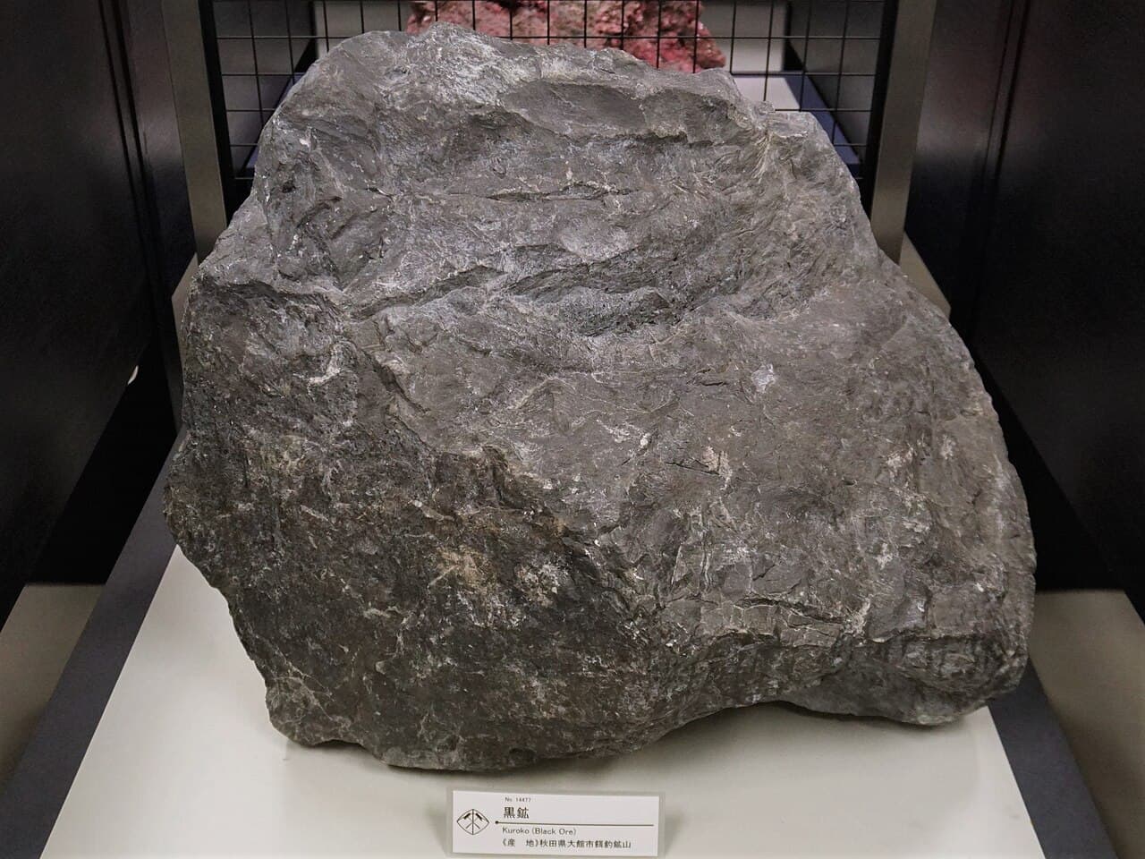 A dark, dense, fine-grained ore specimen in a museum display case.