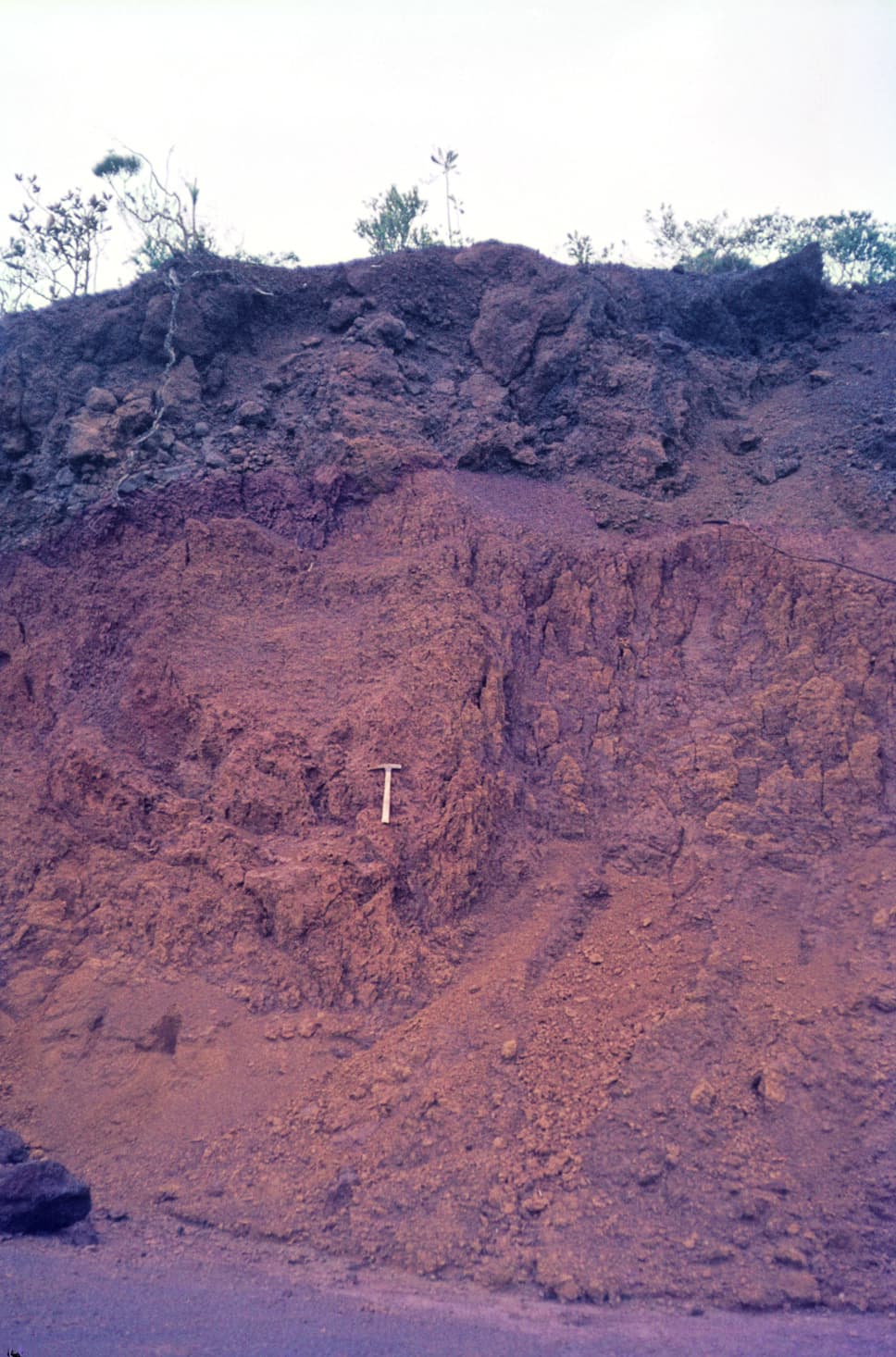 Vertical exposure showing a hard dark crust over softer, deeply weathered ochre and brown material.