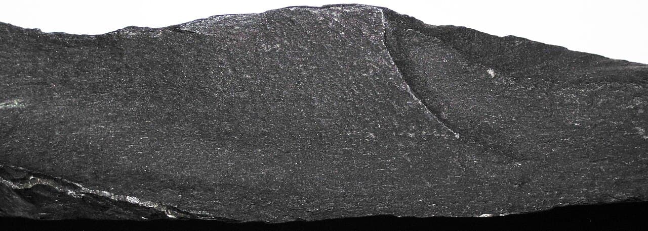 A long narrow slab of dark laminated shale, its bedding running the length of the sample.