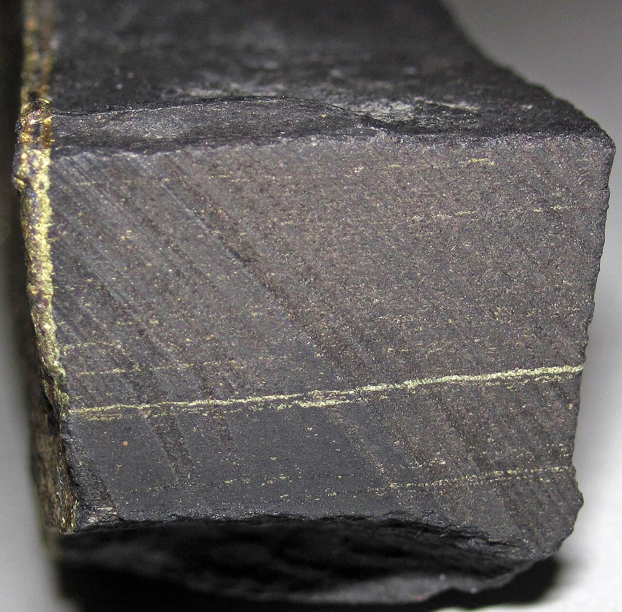A sawn slab of dark grey-black shale with fine pale metallic streaks running parallel across its face.