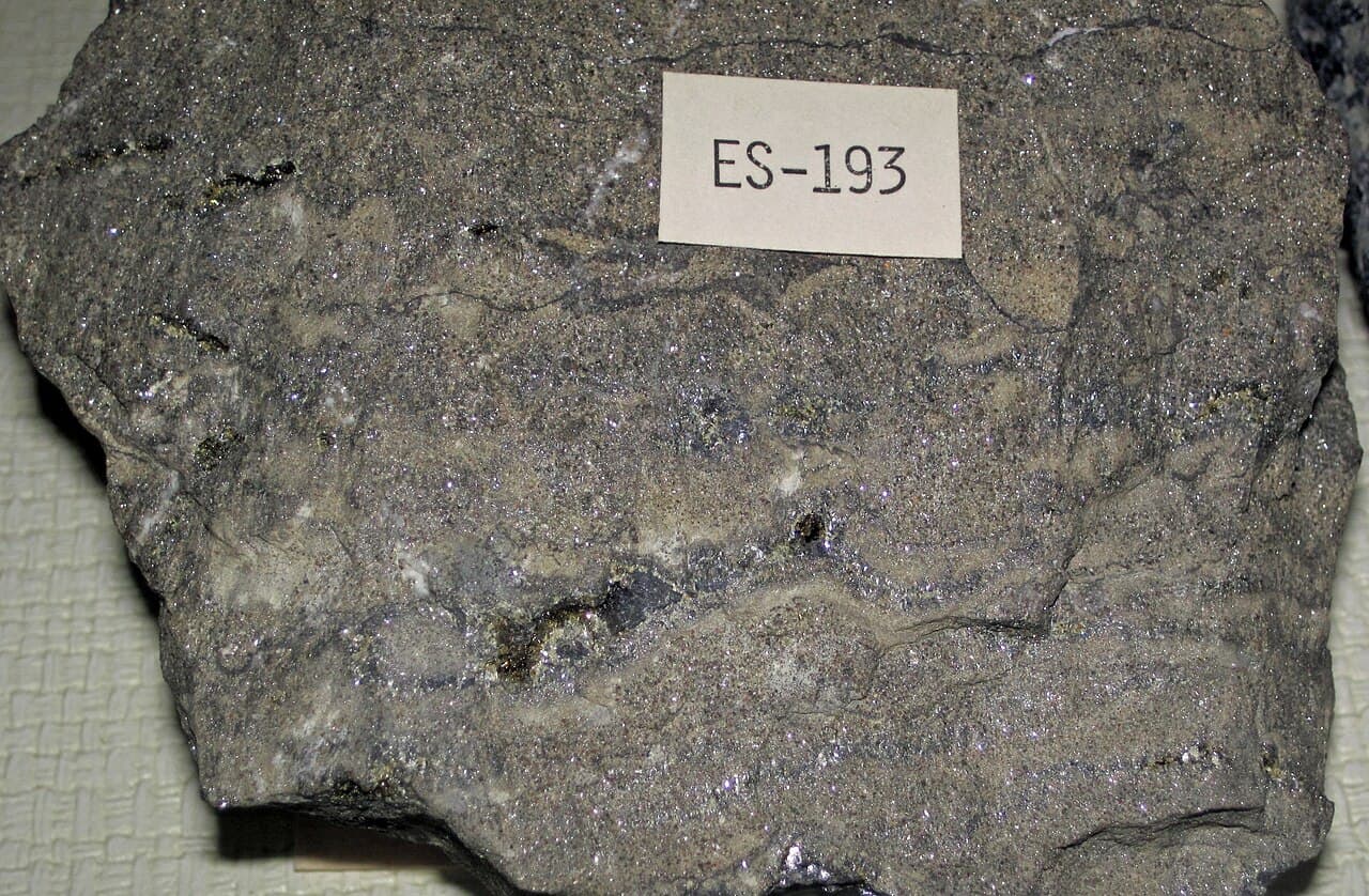 Cut face of pale dolostone with dark brown to honey-coloured sphalerite occupying irregular patches that follow the rock fabric rather than open cavities.